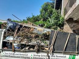 Best Moving and Downsizing Cleanouts  in Mount Vernon, IA