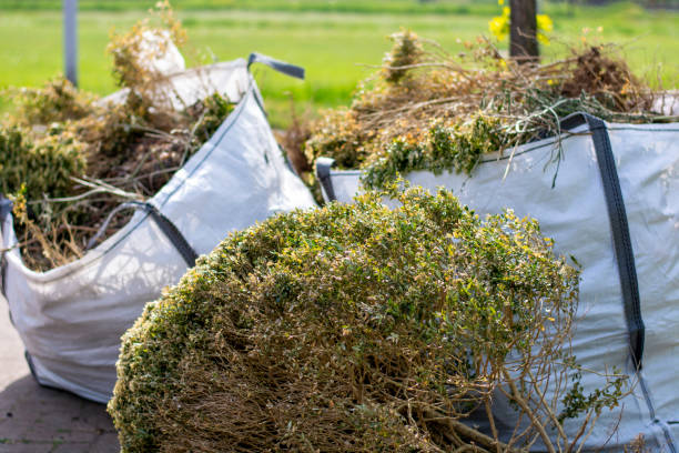 Best Residential Junk Removal  in Mount Vernon, IA